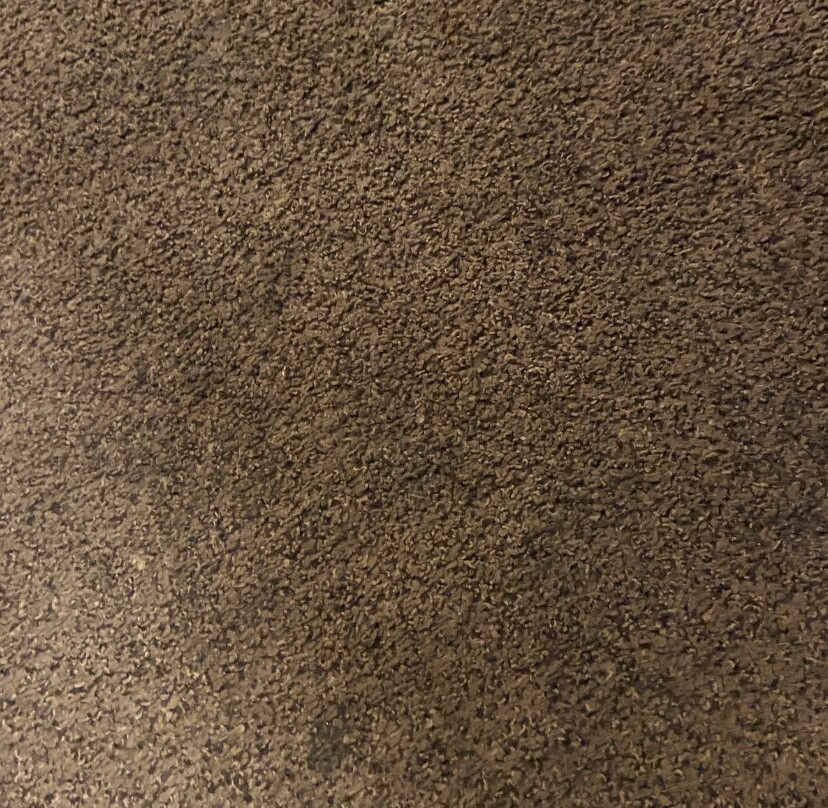 Super 8 by Wyndham Schenectady/Albany Area主图