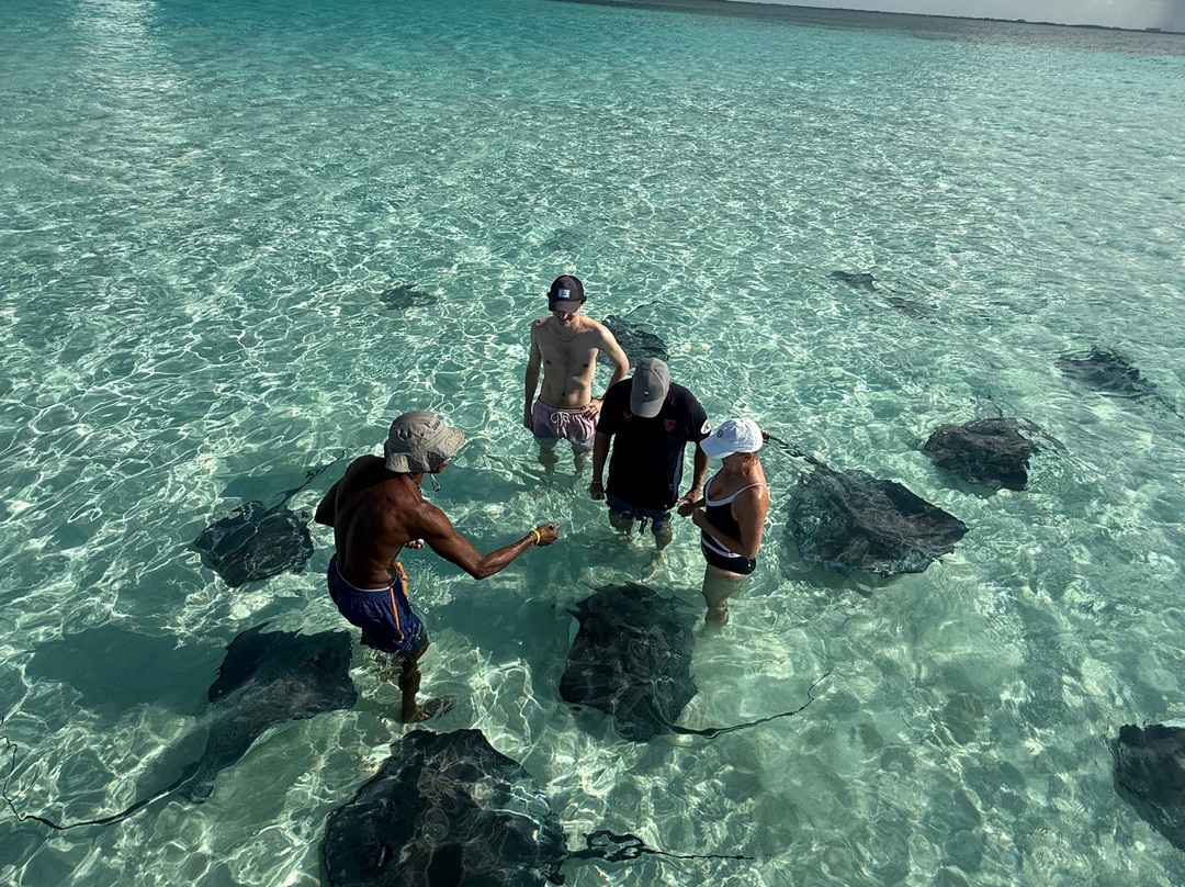 Crystal Sea Charters-East End必去景点