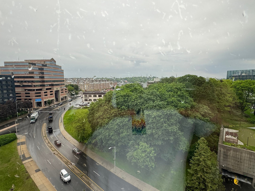 The Stamford Hotel主图