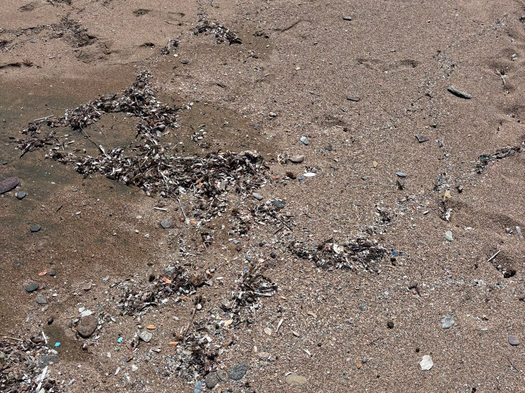 Batsi Beach-Mpatsi必去景点