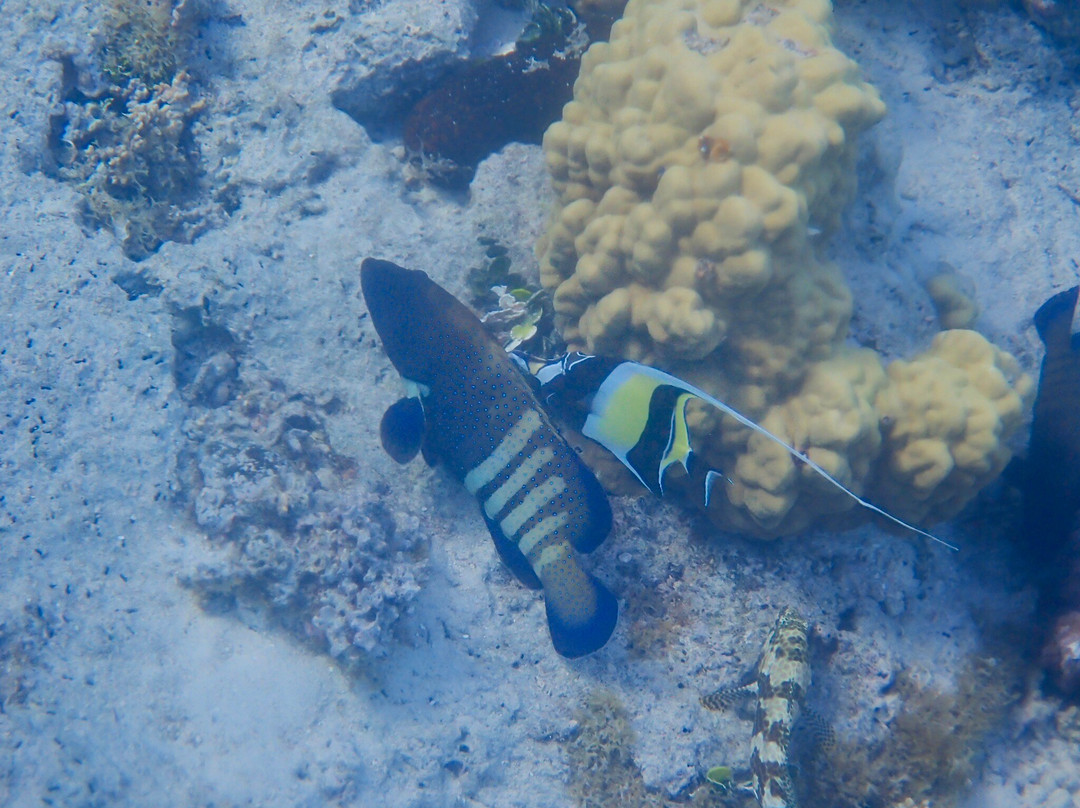 Tahiti Lagoon Paradise-大溪地必去景点