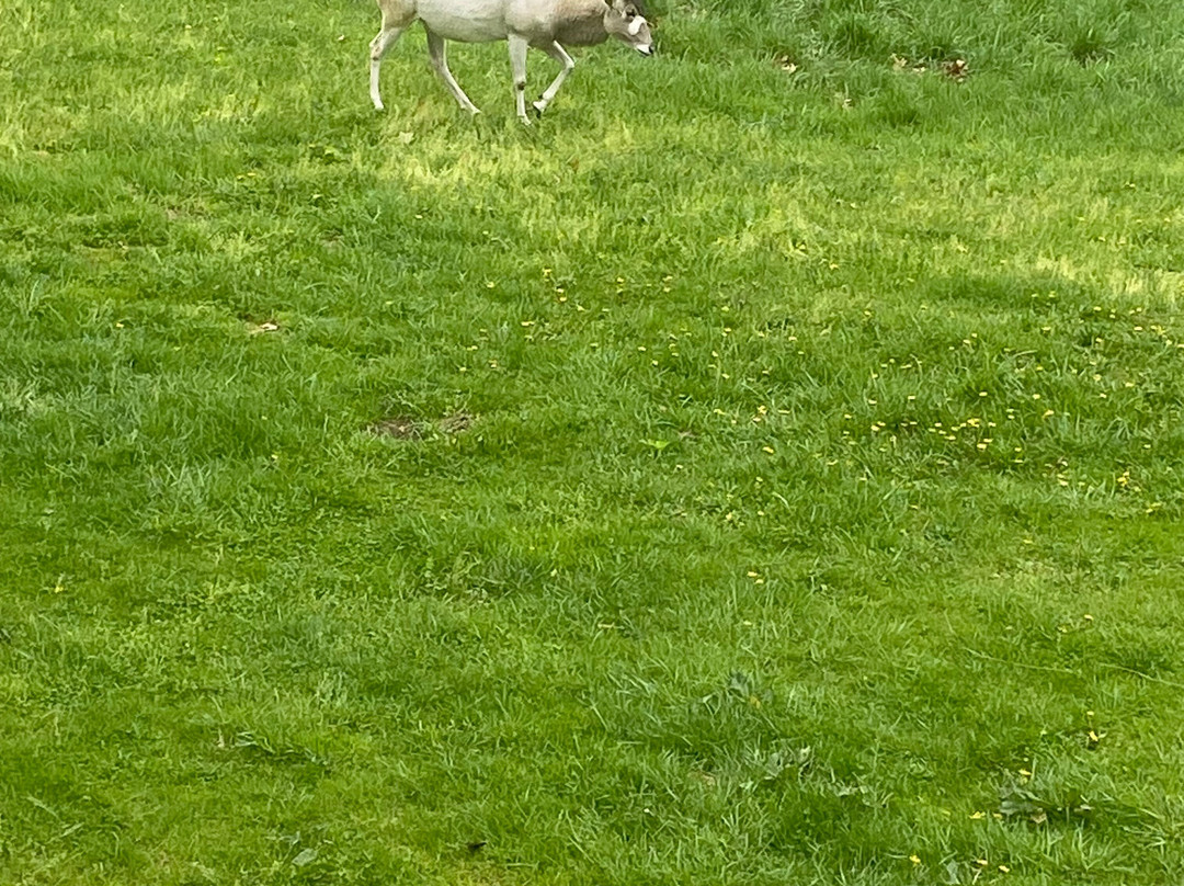 Binder Park Zoo-Battle Creek必去景点