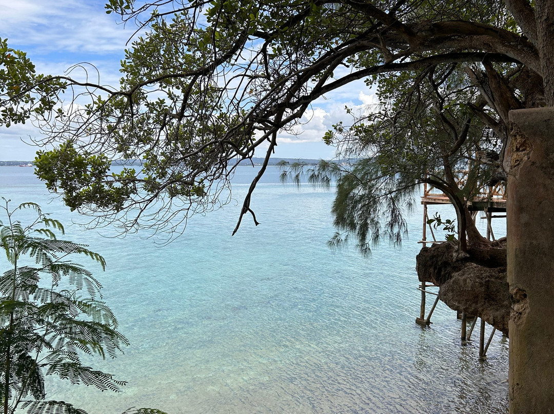 Travel Plus Zanzibar Tours & Safari-石头城必去景点