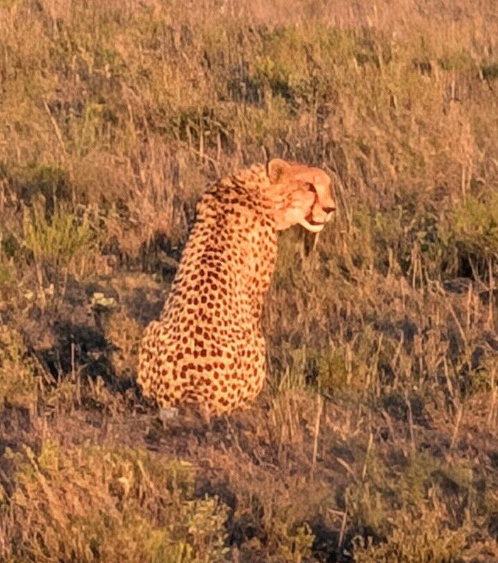 Amakhala Game Reserve主图