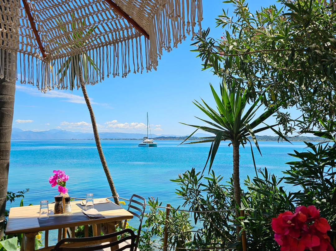 Panorama Notos主图