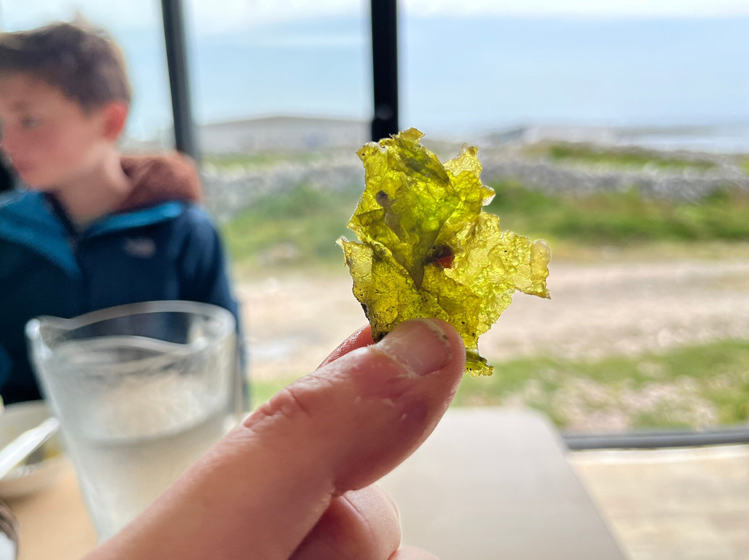 Mungo Murphy's Seaweed Co.景点图片
