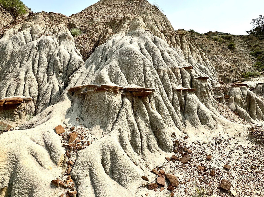 North Unit-Theodore Roosevelt National Park必去景点