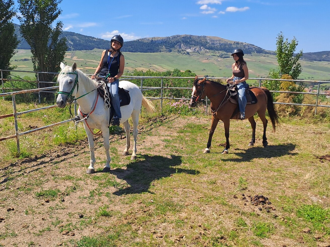 Horse Trekking Sicily景点图片