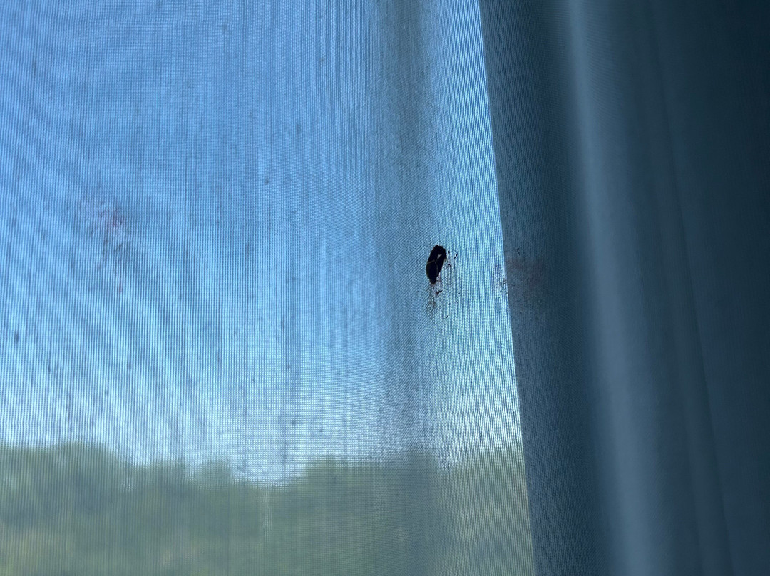 芝加哥北岸万丽酒店主图