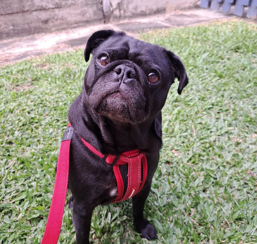 Emu Park Motel主图