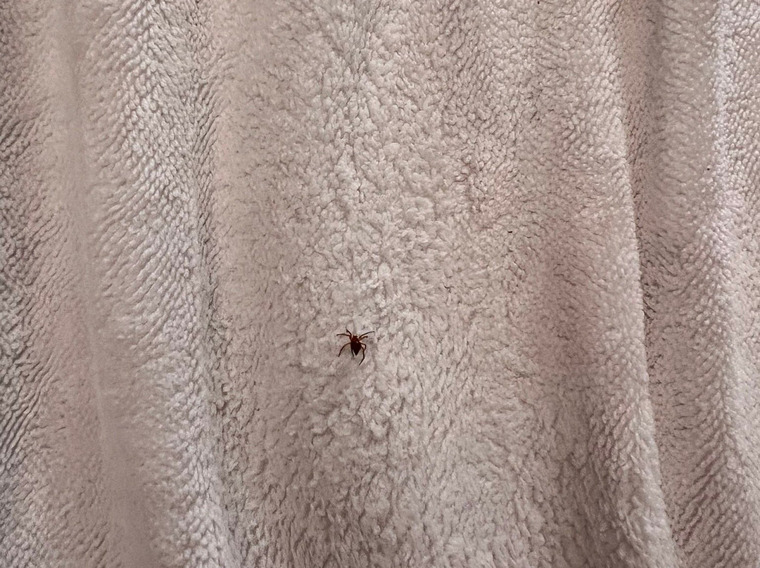 迎碧安娜私人别墅主图