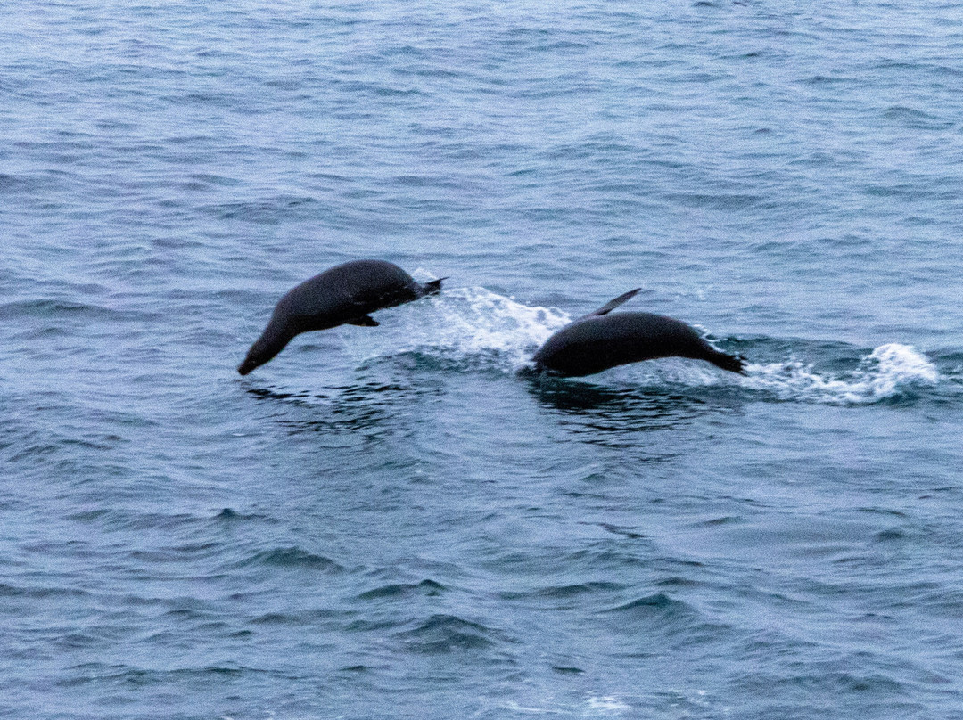 Galapagos Sunset Hotel主图