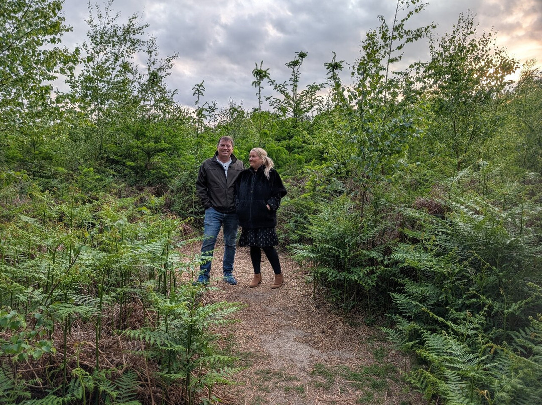 Rendlesham Forest Centre-Woodbridge必去景点