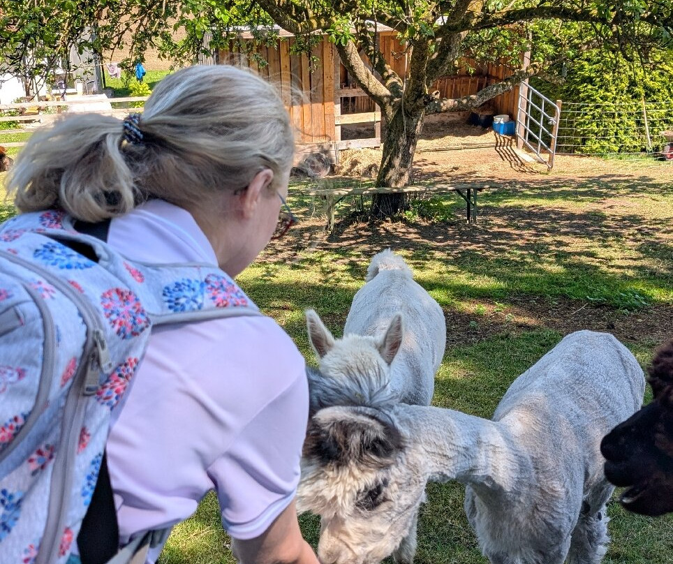 Alpaka Garten-Windach必去景点