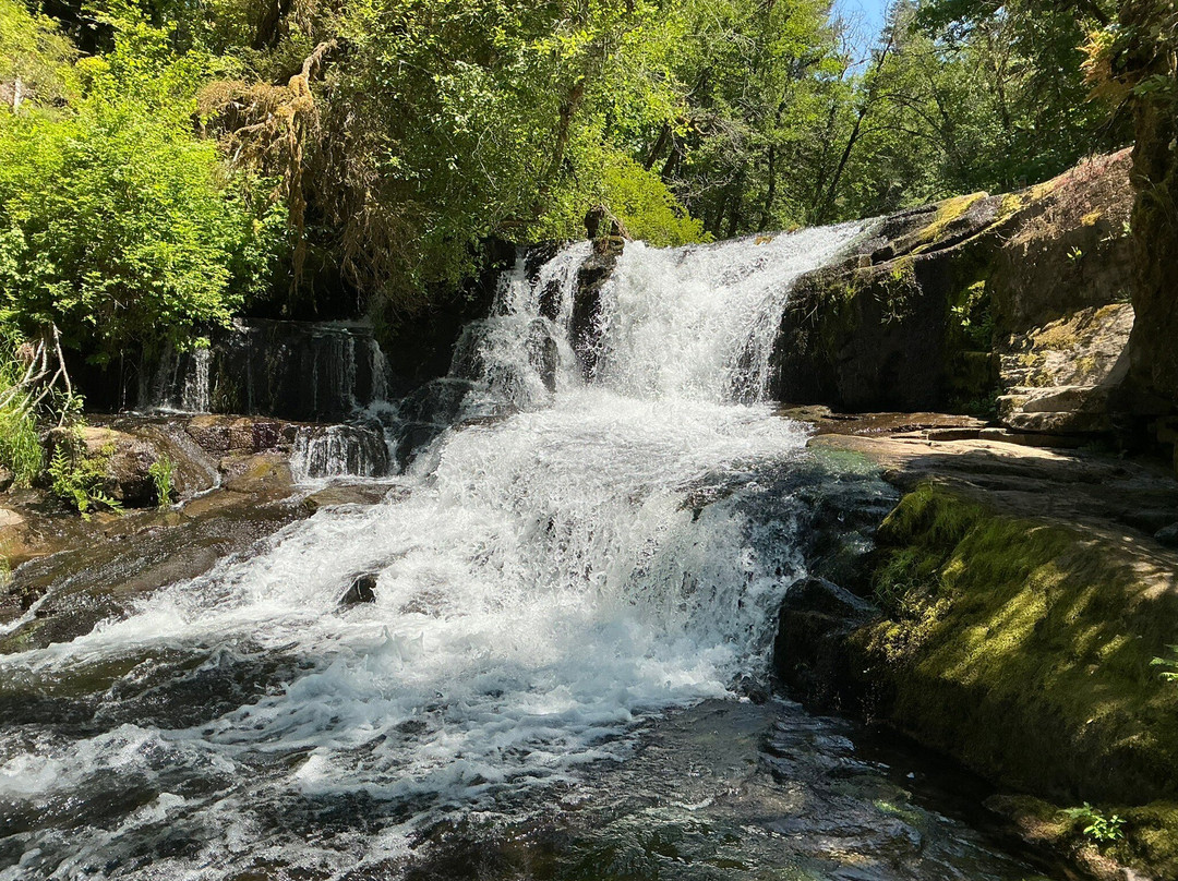 Alsea Falls Recreation Site-Alsea必去景点