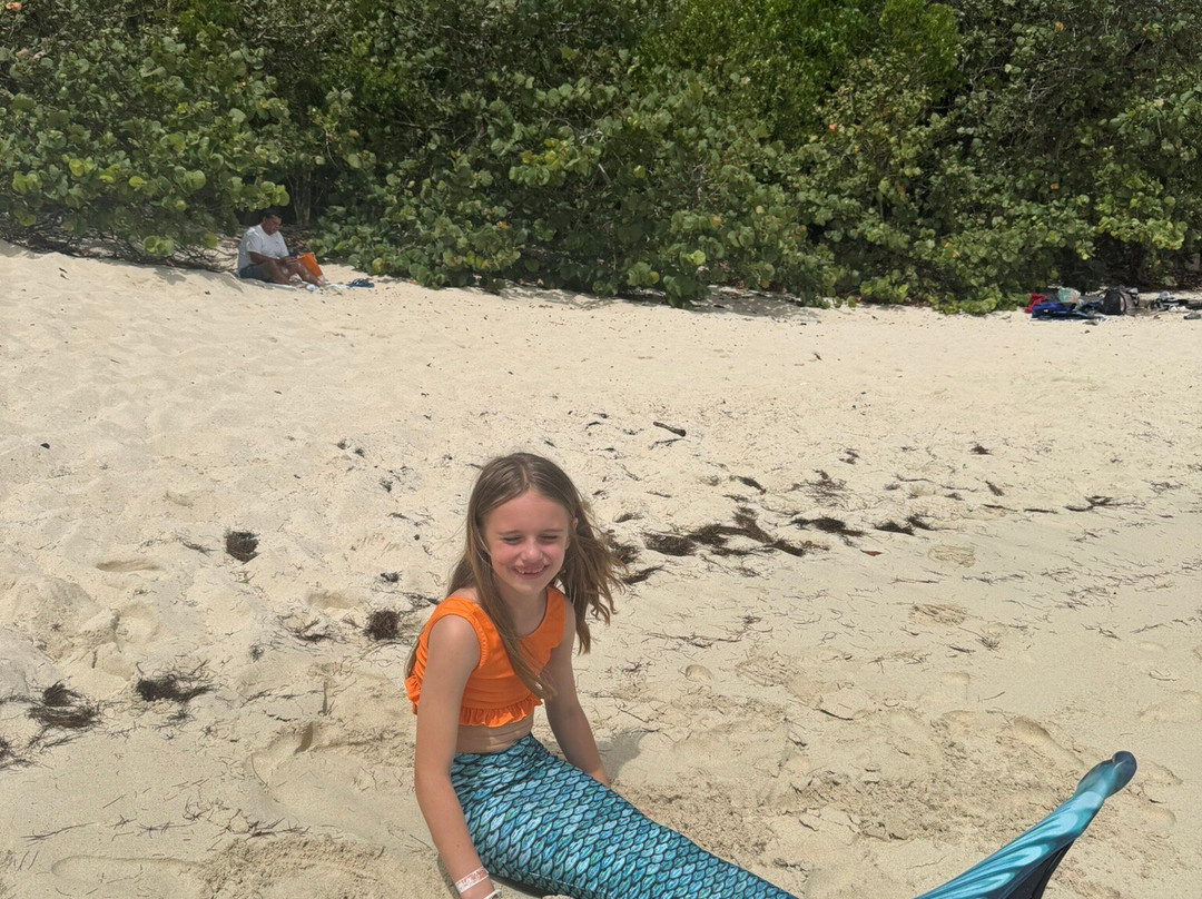 Mermaid Swim VI-克鲁兹湾必去景点