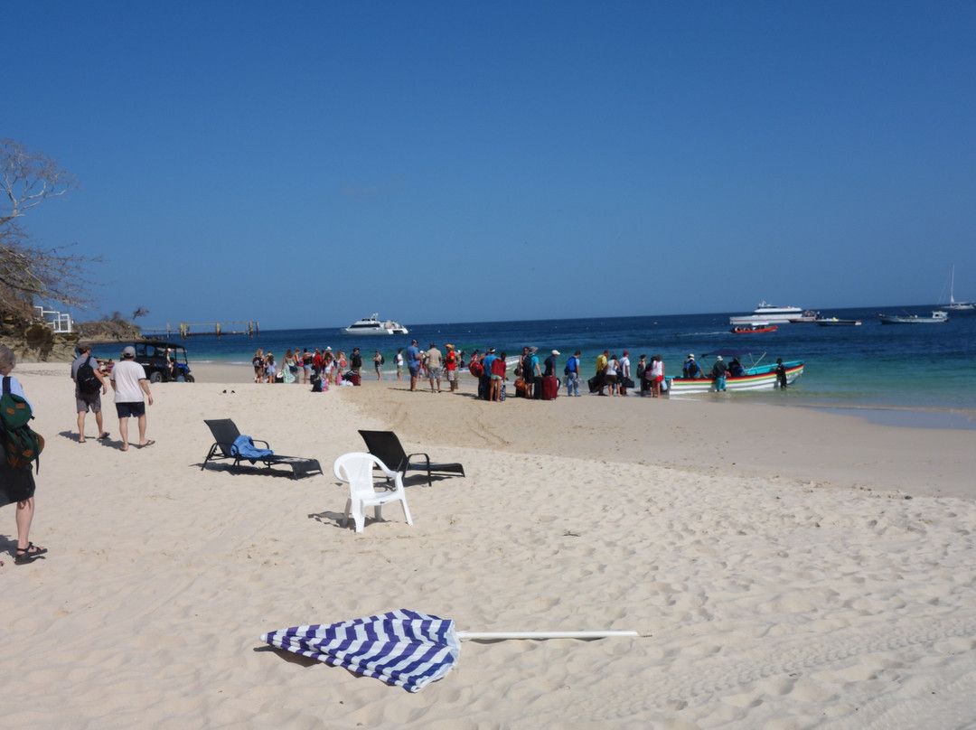 Playa Larga景点图片