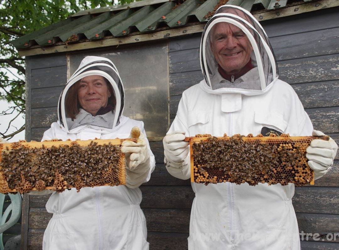 The Bee Centre-乔利必去景点