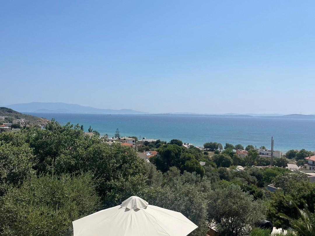 Melia Sol Art Studios主图