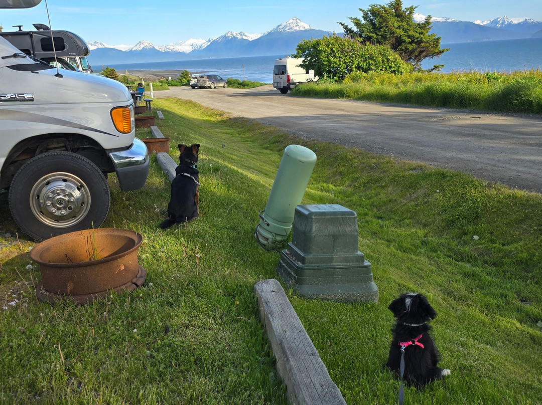 Driftwood Inn & Homer Seaside Lodges主图