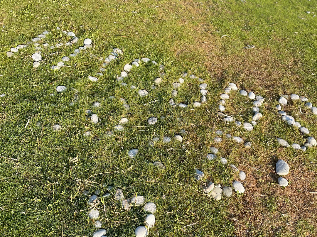 Poseidonia Hotel Apartments主图