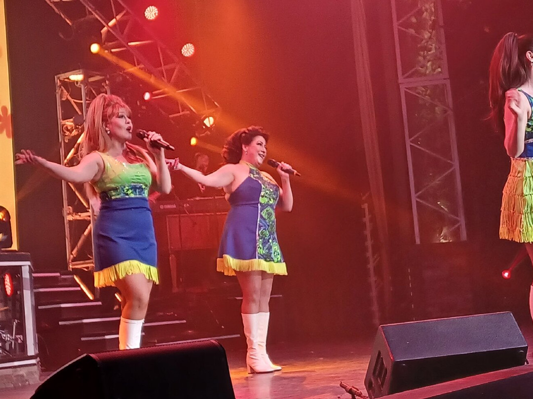 #1 Hits of the 60's Show (& 50's Too!)-布兰森必去景点