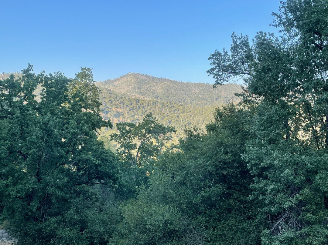 Evergreen Haus主图