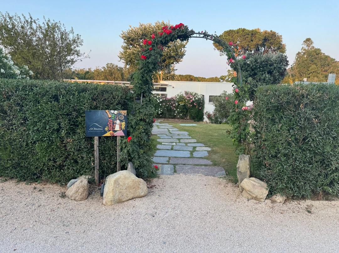 卡利亚里省餐馆和美食-Ristorante S'Ollastinu