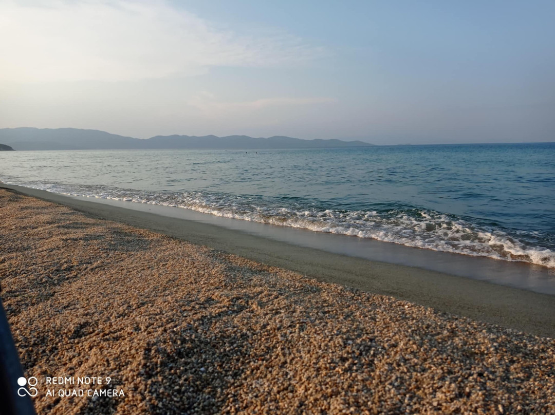 Aristotelis Road Trip