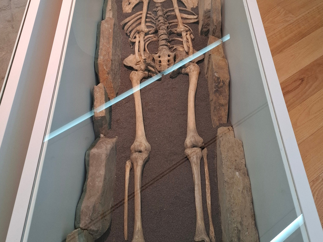 Domus del Mitreo-卢戈省必去景点