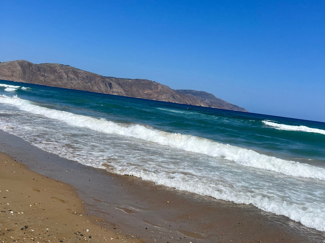 Delfina Boutique Hotel主图