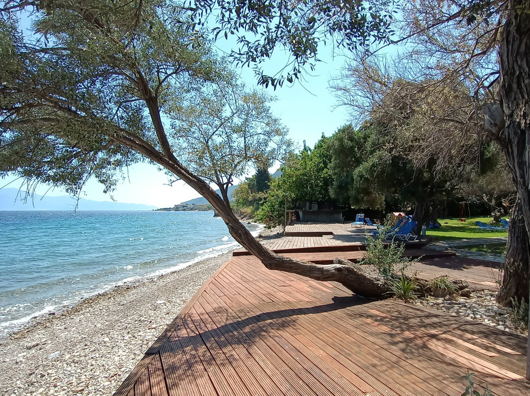 Florida Blue Bay主图