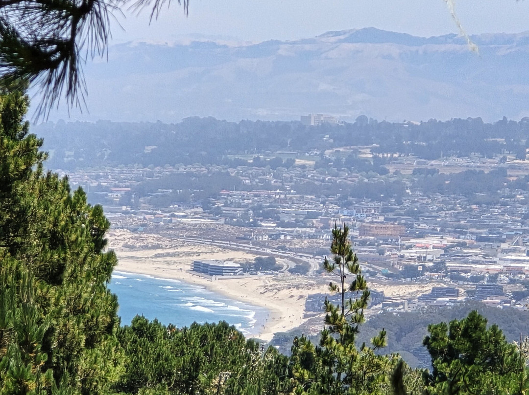 Highway 1 Road Trip-圣路易斯-奥比斯波必去景点