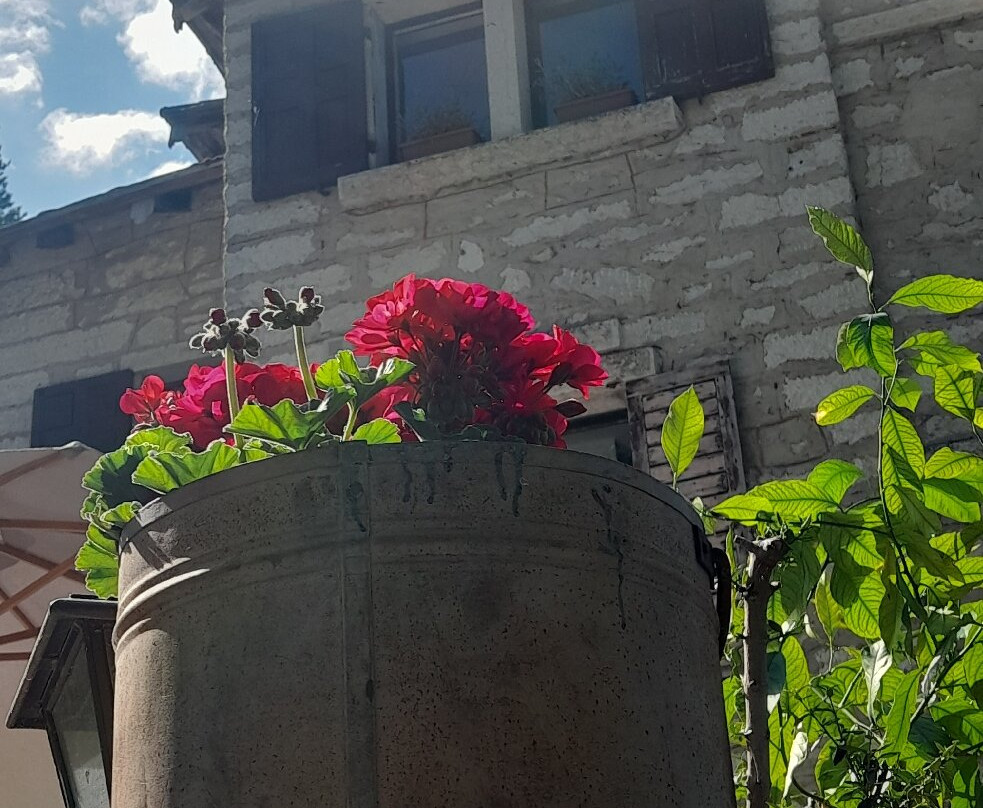 Giulio Mountain B&B主图