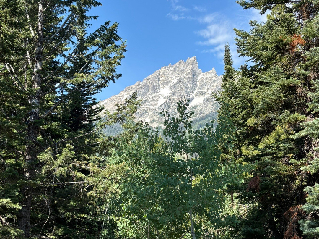 珍妮湖散步小径-大提顿国家公园必去景点