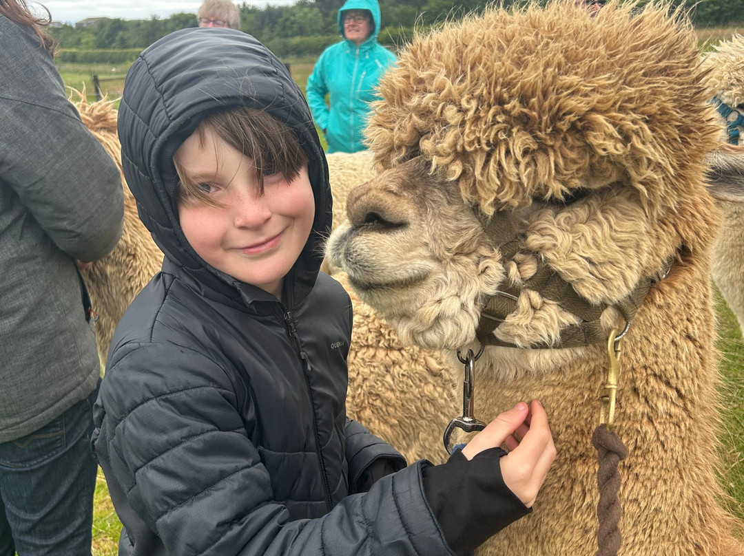 Bowbridge Alpacas Scotland-Peat Inn必去景点