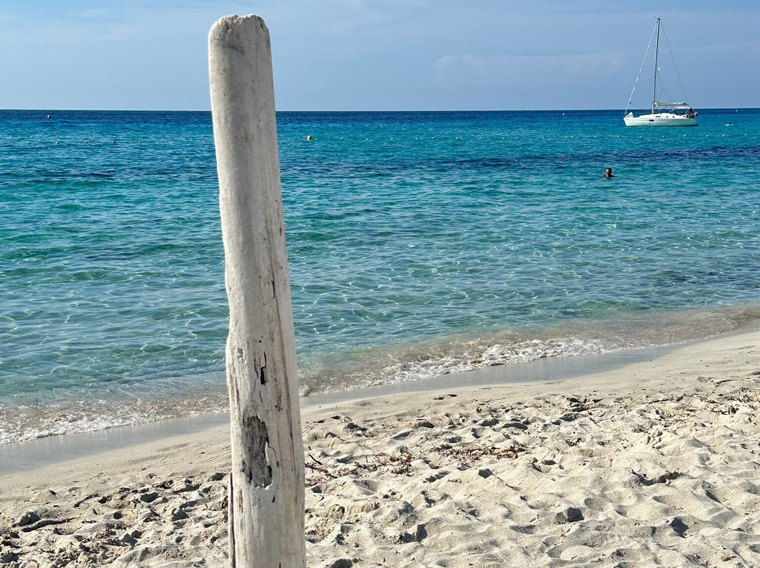 Plage de Saleccia-Santo-Pietro-di-Tenda必去景点