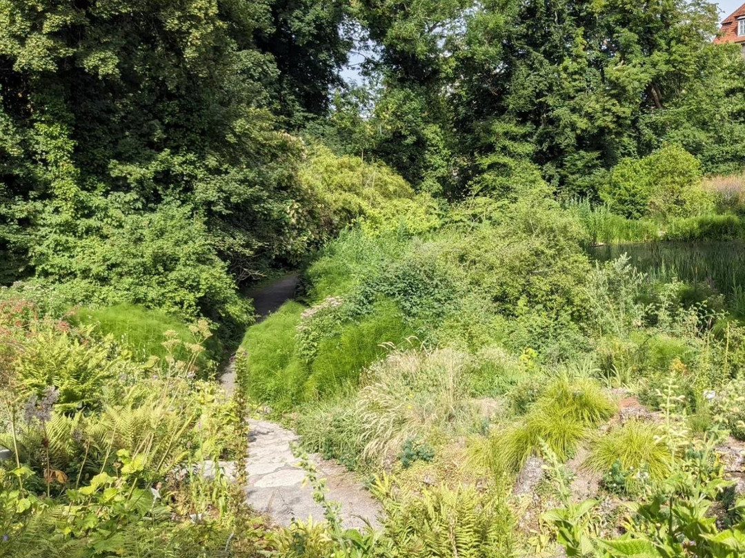 Botanischer Garten-哥廷根必去景点
