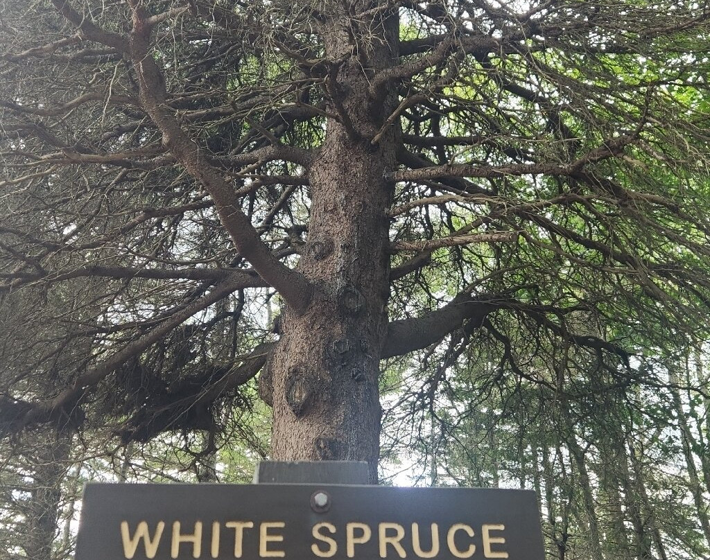 Moose Point State Park-Searsport必去景点