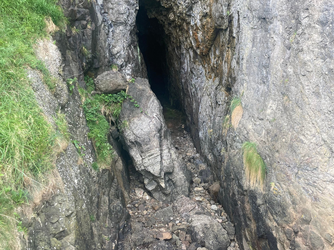 Blackhead Path-Whitehead必去景点