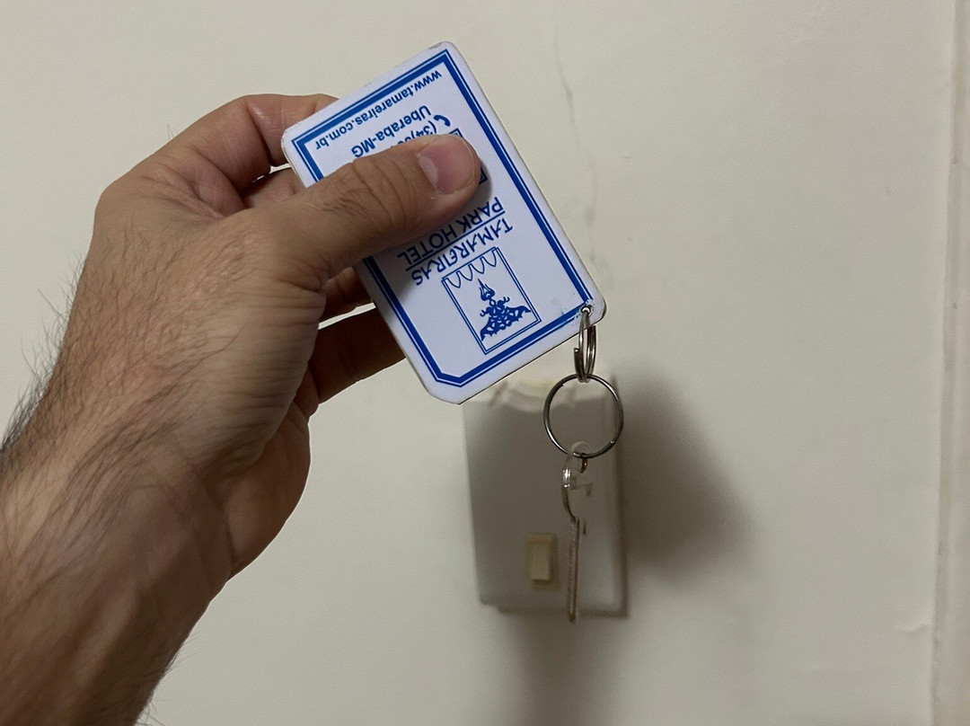 Tamareiras Park Hotel主图