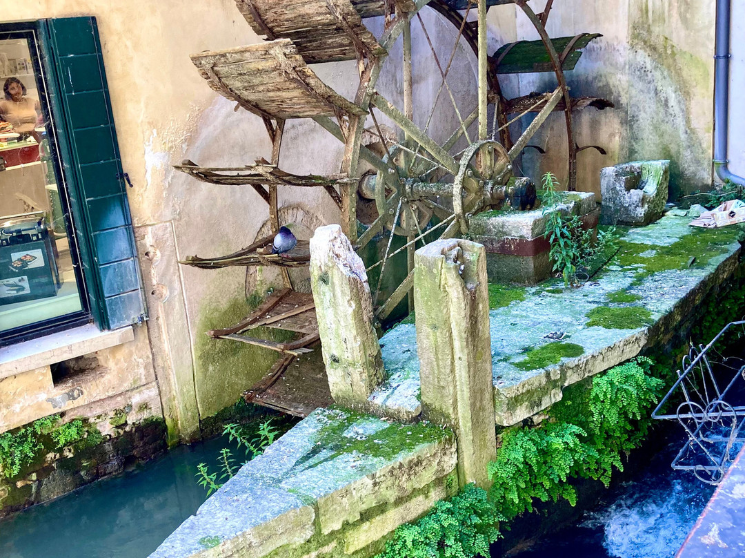 Isola della Pescheria-特雷维索必去景点