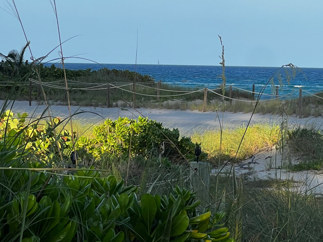 Seahorse Guesthouse主图