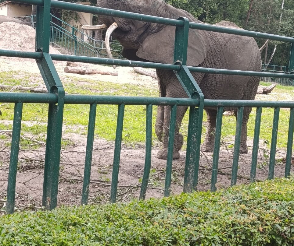 Oliwa Zoo-格但斯克必去景点