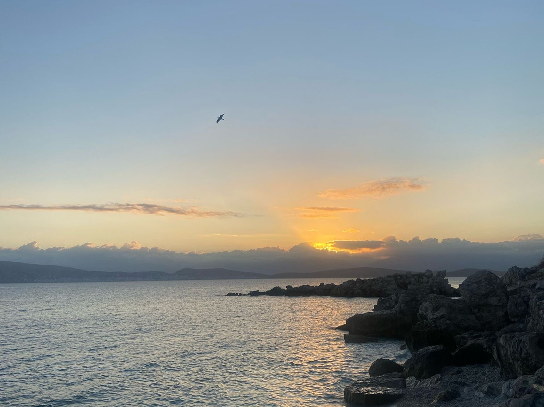 Michelangelo Resort主图