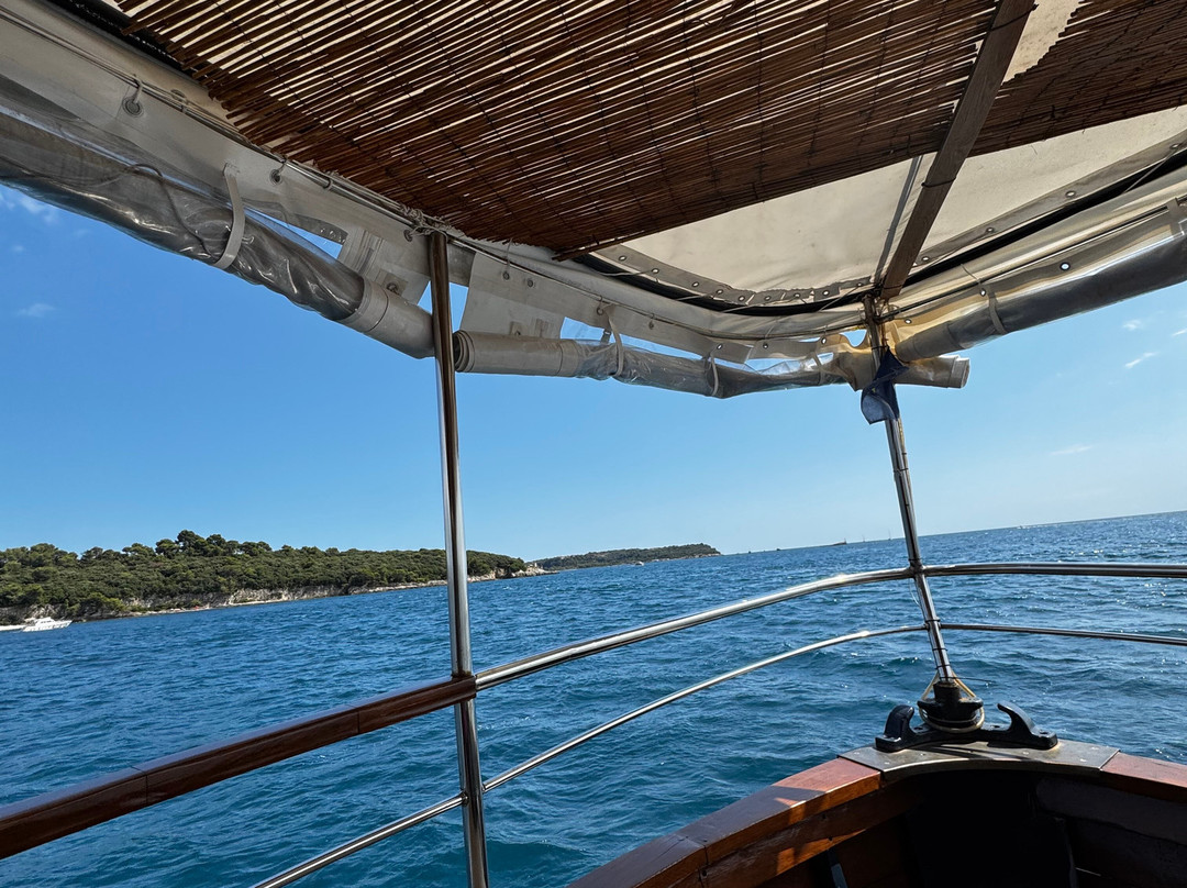 Burin Dolphin excursion Pula-普拉必去景点