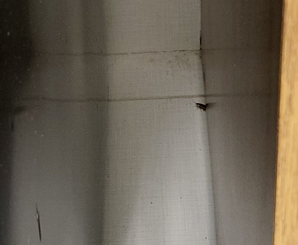 Home2 Suites by Hilton Tallahassee State Capitol主图