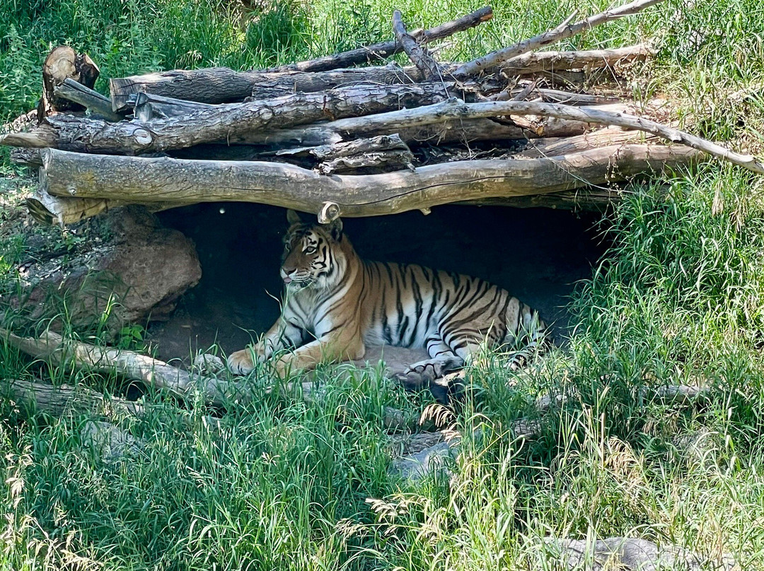 Idaho Falls Zoo-爱达荷福尔斯必去景点