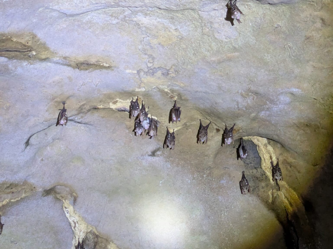 Bat Cave-武吉拉旺必去景点