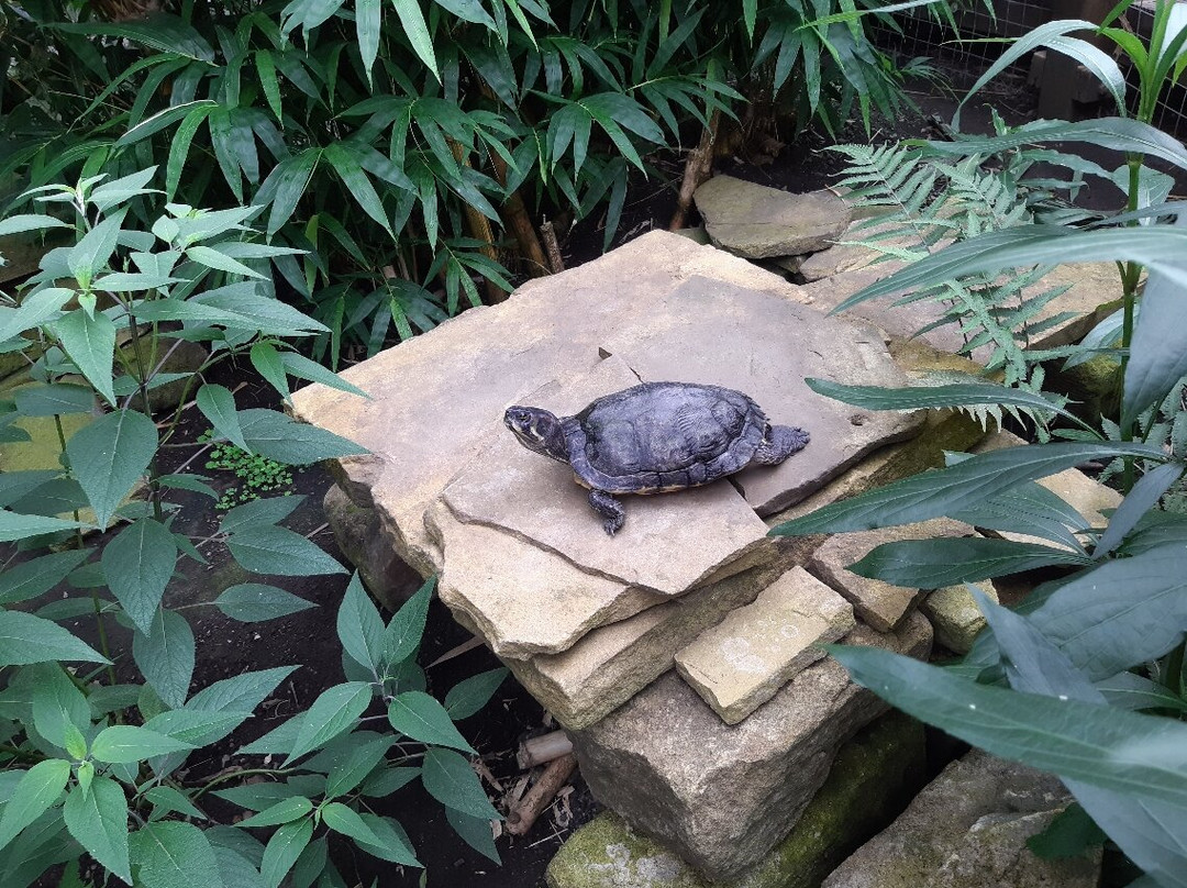 Manor Heath and Jungle Experience-哈里法克斯必去景点
